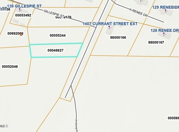 Current Street Ext, Pinebluff, NC 28373