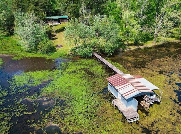 319 RIVER Dr, Hollywood, AL 35752
