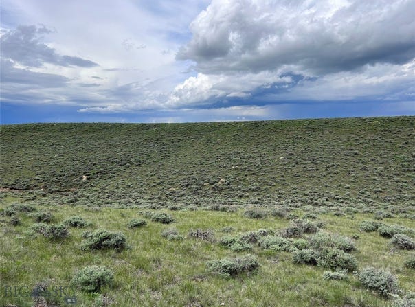 Tract 11 Steel Creek Road, Wisdom, MT 59761