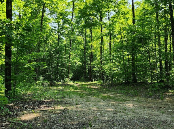 3625 E SIMMONS RD, HESSEL, MI 49745