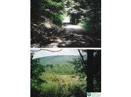 Pantherlick Road, PA 18846