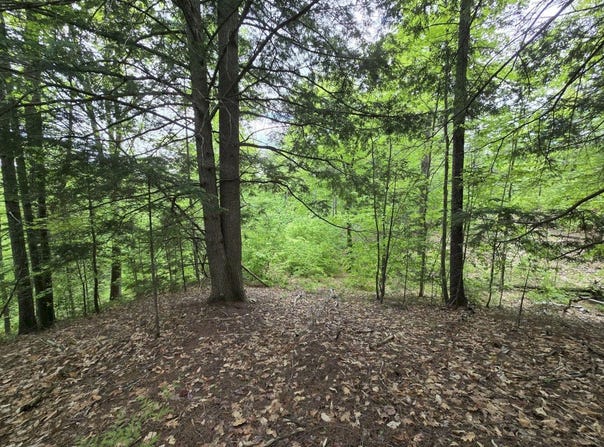Staples Pond Road lot: 10C, Temple, ME 04984