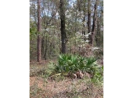 18507 SW 67TH AVENUE, ARCHER, FL 32618