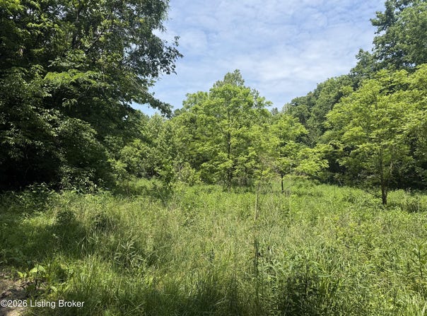 Edgar Basham Rd, Irvington, KY 40146