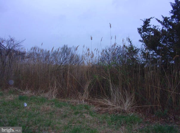 873 DOWNE AVENUE, FORTESCUE, NJ 08321