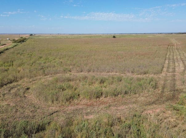 FM 262, Crowell, TX 79227