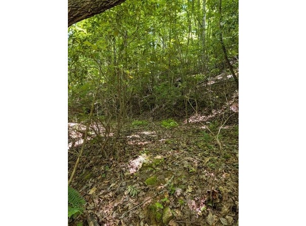 Talc Mine Road, MURPHY, NC 28906