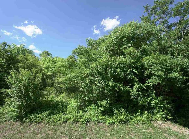 85 & 87 Kentucky Drive, Newport, KY 41071
