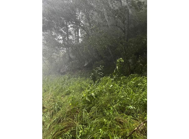 0 Bowling Creek Road, Jackson, KY 41339