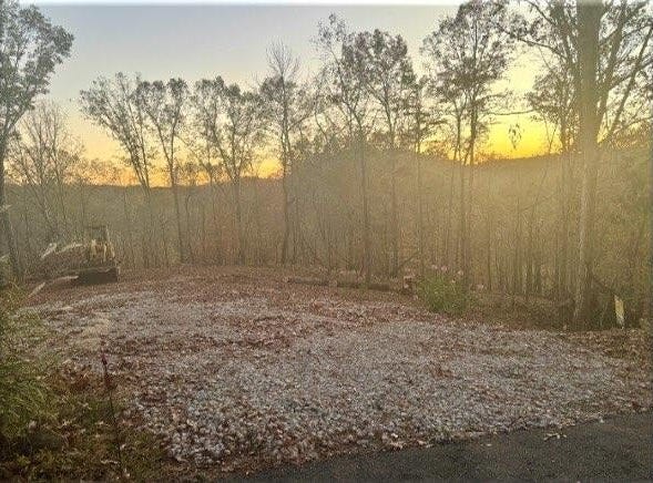 0 South Chestatee Street, Dahlonega, GA 30533