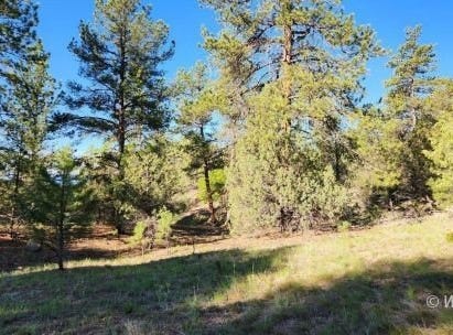 110 Dead Log Ln, Texas Creek, CO 81223