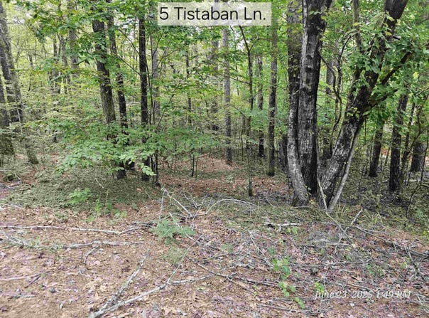 5 Tistaban Lane, Hot Springs Village, AR 71909