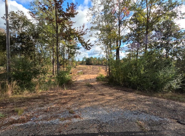 William Warren Road, Collins, MS 39428
