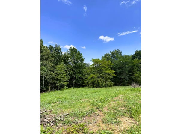 15 Ac Hwy 22 Tract 2, Williamstown, KY 41097