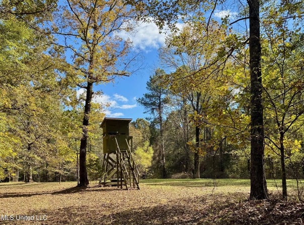 1218 Ms 9, Calhoun City, MS 38916