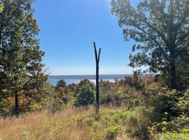 Diamond Bluff (Estates E lot: 1, Quitman, AR 72131