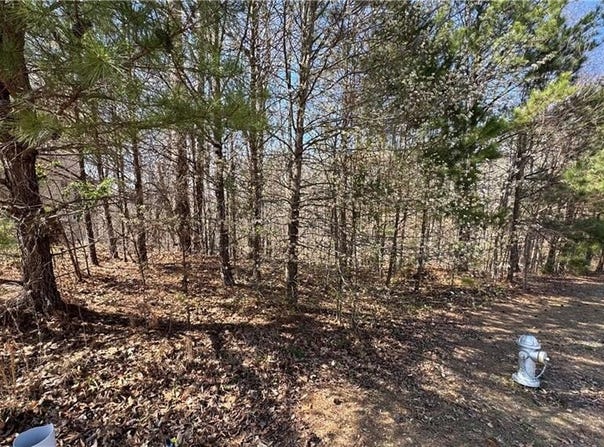 5209 Prestley Crossing Lane, Douglasville, GA 30135