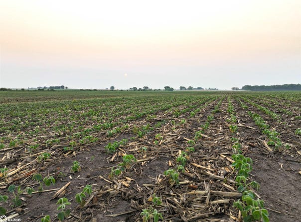 Thomas Avenue, Coggon, IA 52218