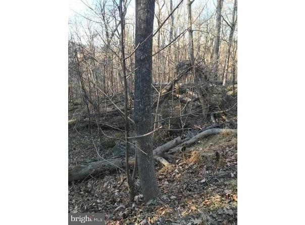 NORTHERN SPY DRIVE, LINDEN, VA 22642
