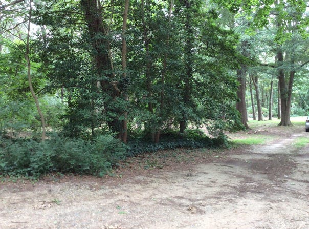 233 MERGANSER DR, CHESTERTOWN, MD 21620