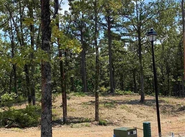 3910 Orchard Heights Drive, Conway, AR 72034
