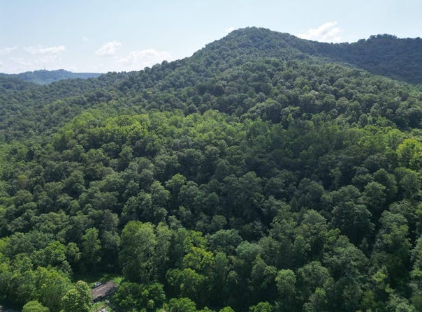 00 Honey Camp Rd., Nellis, WV 25142