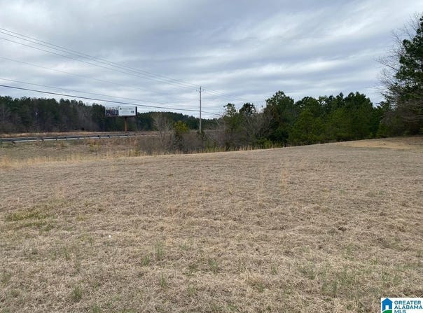 lots 39 & 40 INDUSTRIAL PARKWAY, JASPER, AL 35501