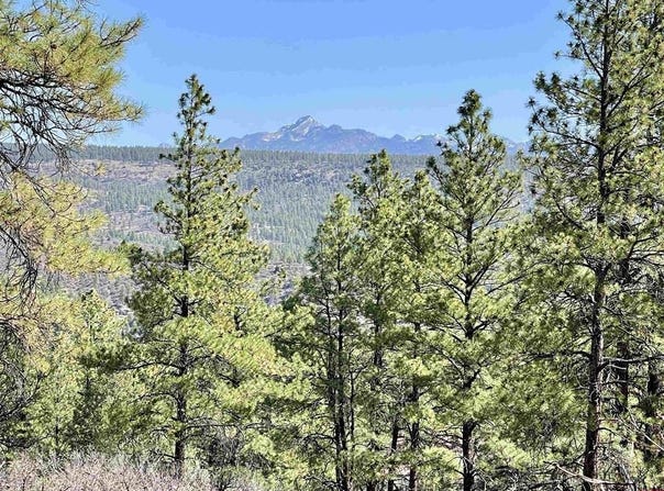 252 Starlight Place, Pagosa Springs, CO 81147