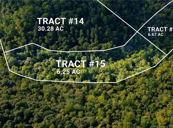 0 Tract 15 N State Road 156, Patriot, IN 47038