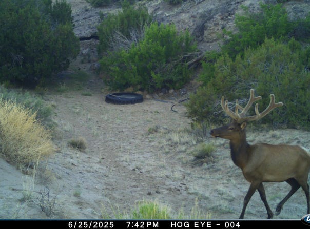 000 TBA, Quemado, NM 87829