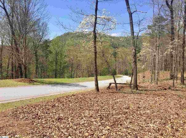 110 Black Knight Trail, Travelers Rest, SC 29690