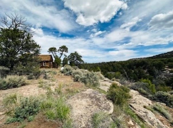 4511 S 16 1/2 Road, Glade Park, CO 81523