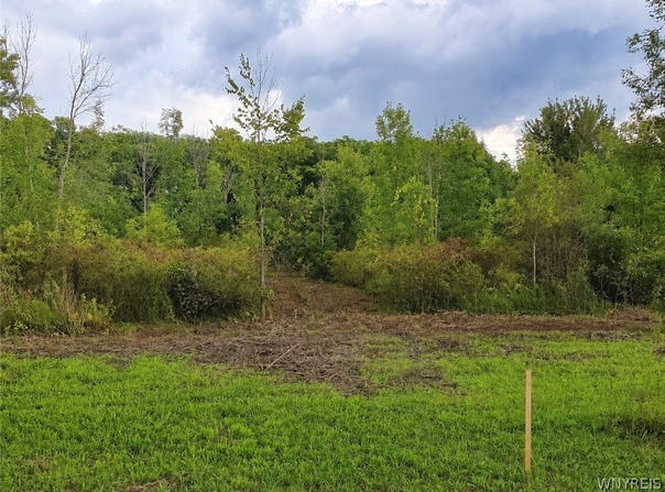9970 Tonawanda Crk Rd N, Clarence, NY 14031