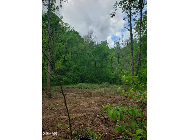 397 Moore Hollow Road, Newport, TN 37821
