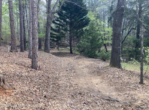 Driftwood Dr, Jacksons Gap, AL 36861