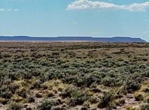 Tbd COUNTY ROAD N7012 40 ACRES, Chambers, AZ 86502