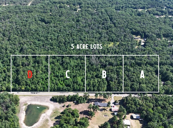 Par D W Almy Road, Howard City, MI 49329