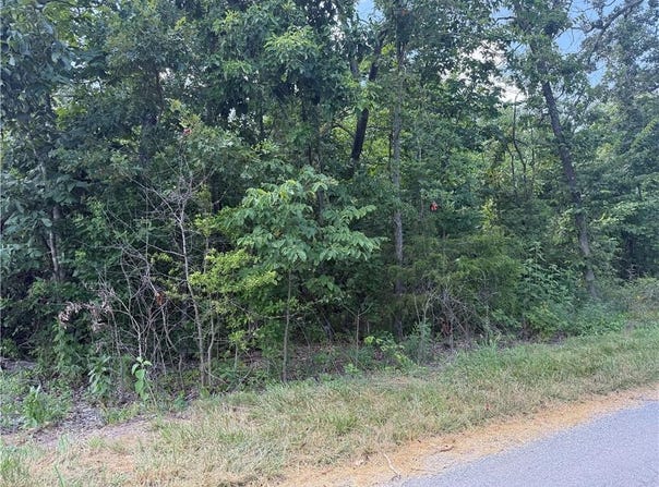 TBD Lesmahagow  LN, Bella Vista, AR 72715
