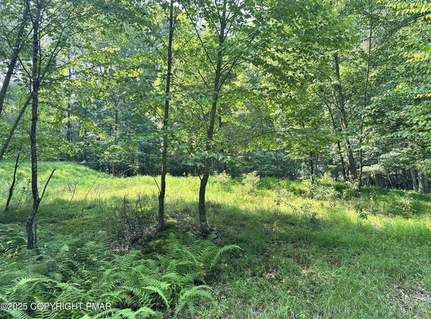 Timber Hill Rd 3C, Henryville, PA 18332