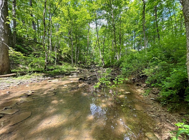 0 Buchanan Road, Waverly, OH 45690