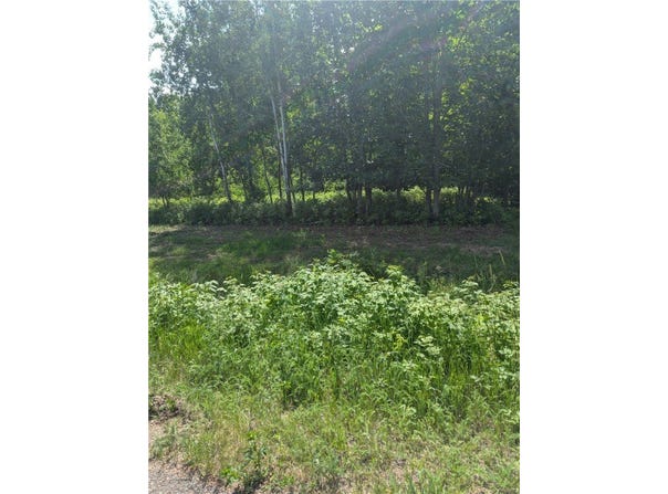 Lot 2 361st Street, Stanley, WI 54768