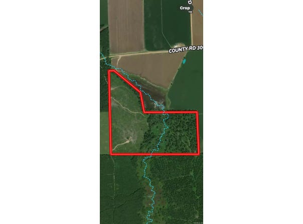 Hamburg, AR 71646-9998
