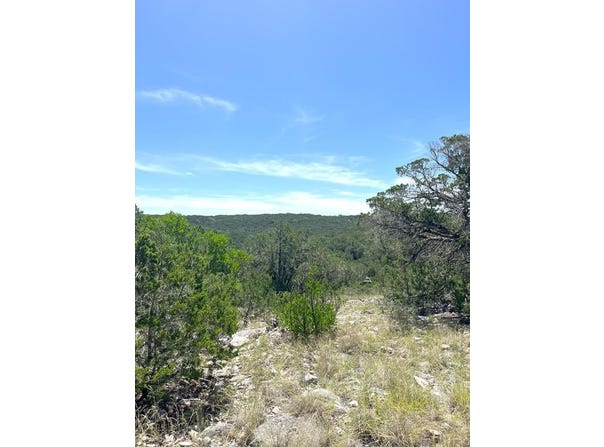 3835 Bluff Creek Rd, Leakey, TX 78873
