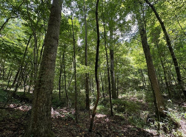 2 Rockport Rd, Lexington, MS 39095