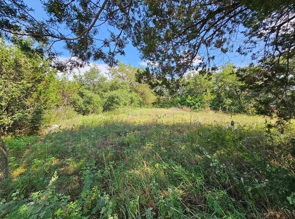 Tbd Lakeview Trail, Weatherford, TX 76087