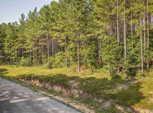 5.8 Pine Hills Way, Piedmont, AL 36272