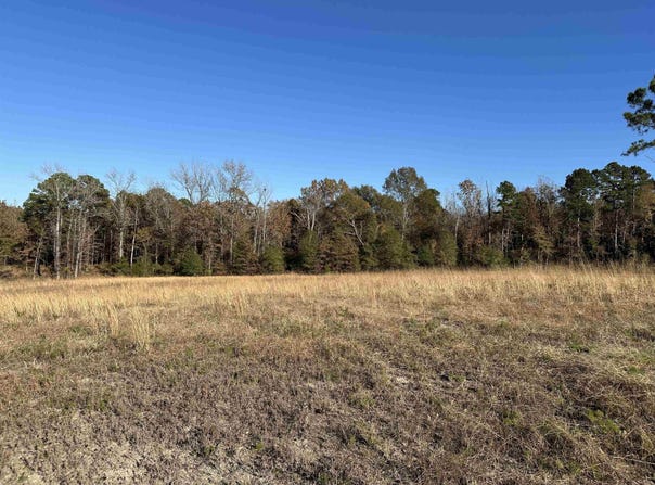 178 Eagle Creek Dr, Diana, TX 75640