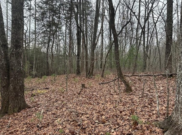 Marrestop, MURPHY, NC 28906