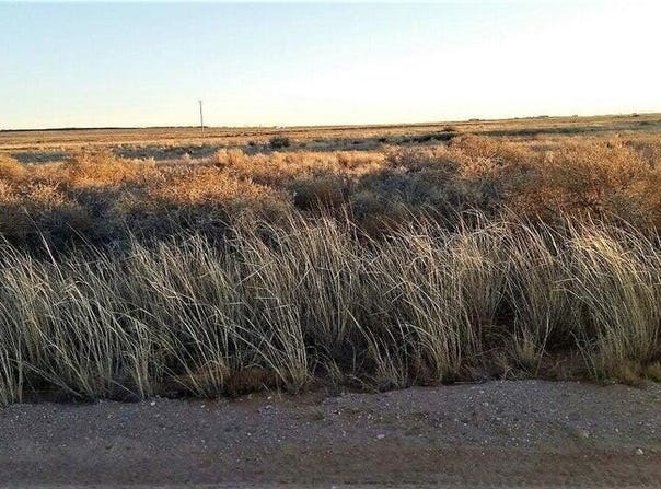 Windward Lot 43 Drive, Edgewood, NM 87015