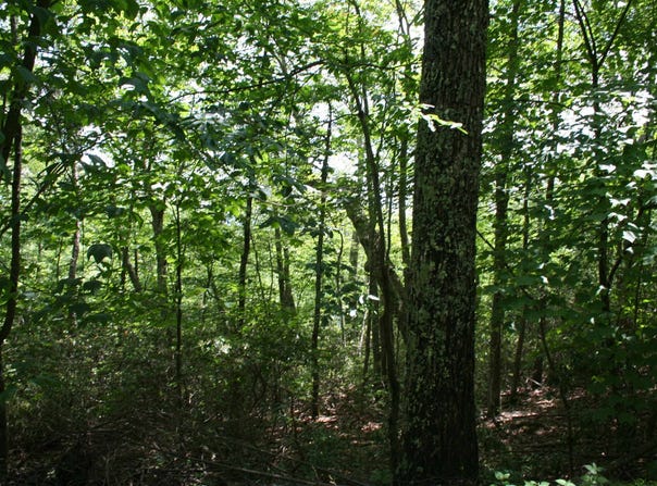 43 HIGH VALLEY SOUTH, MONTEREY, VA 24465